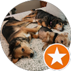 Profile photo of John Campbell