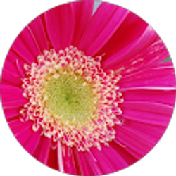 Profile photo of laura tiedemann