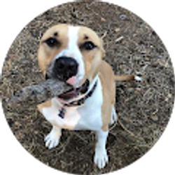 Profile photo of Bill