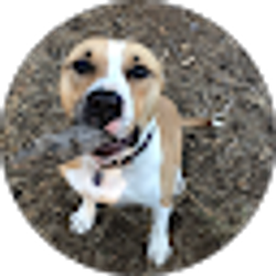 Profile photo of Bill