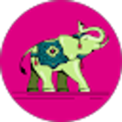 Profile photo of Patsi Anderson