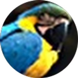 Profile photo of Nicki Rippeteau