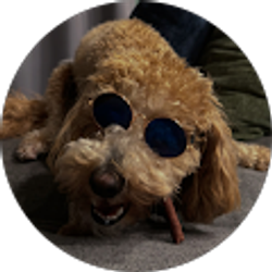 Profile photo of Imani Jefferson