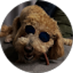 Profile photo of Imani Jefferson