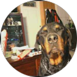 Profile photo of Trenton Colburn