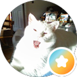 Profile photo of wendy comper