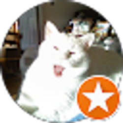 Profile photo of wendy comper