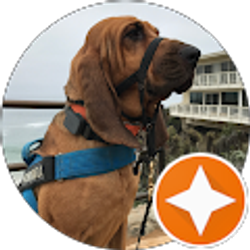 Profile photo of Shelly Shore