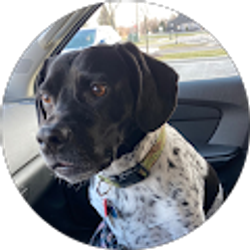 Profile photo of Sierra Girouard