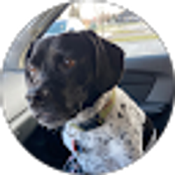 Profile photo of Sierra Girouard