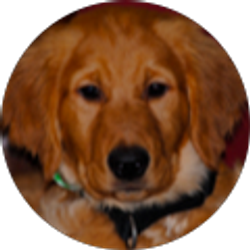 Profile photo of katherine c