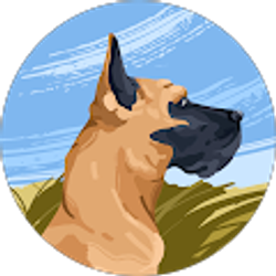 Profile photo of Ashur Nevarez