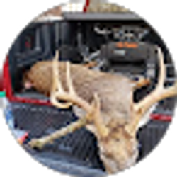 Profile photo of Ron Grimes