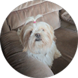 Profile photo of Savannah Sahlin