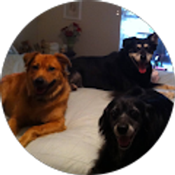 Profile photo of bradley galiazzo