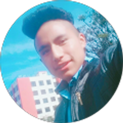 Profile photo of Edvi- ChN Bsc