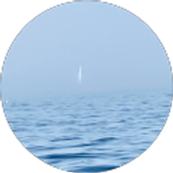 Profile photo of David Martinelli