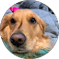 Profile photo of cupkatie178