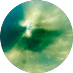 Profile photo of Tia Lecian