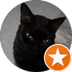 Profile photo of Donna Coffey