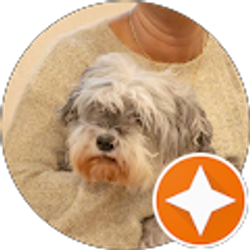 Profile photo of Padmini Rao