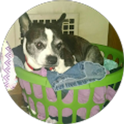 Profile photo of Patrice Olson