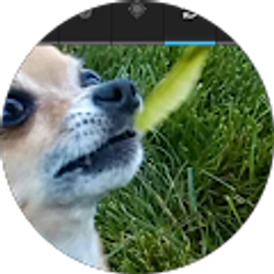 Profile photo of Richard Speer (mrdanngly)