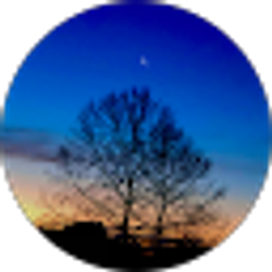 Profile photo of Anje Johnson