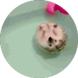 Profile photo of Jennifer Thieme