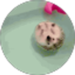 Profile photo of Jennifer Thieme