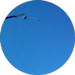 Profile photo of Thiago Bersou