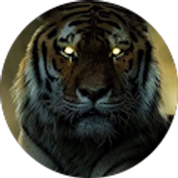 Profile photo of Tyler Vicario