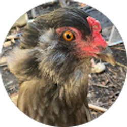 Profile photo of Nicholas
