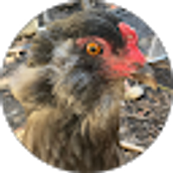 Profile photo of Nicholas
