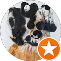 Profile photo of Jami Wheaton