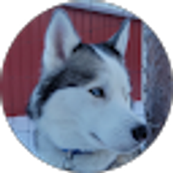 Profile photo of schneidtz