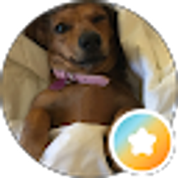 Profile photo of ashley S