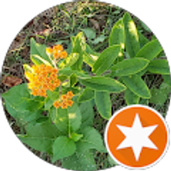 Profile photo of Maureen Reininger