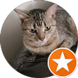 Profile photo of Amy Kirn