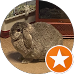 Profile photo of MrsHound