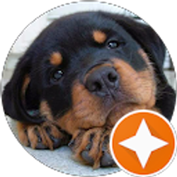 Profile photo of Tina Christensen