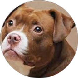 Profile photo of Tyler Grofman