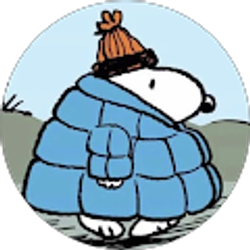 Profile photo of Allie Vickery