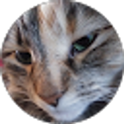 Profile photo of Abby Graber