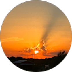 Profile photo of Anthothiyah Hawkins