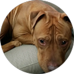 Profile photo of Osvaldo Hernandez