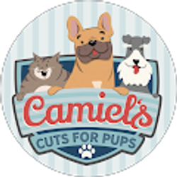 Profile photo of Camiel Ostromecki