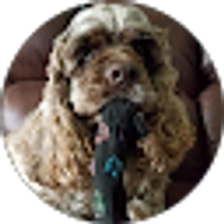 Profile photo of Ted Muckey
