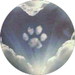 Profile photo of Kim D