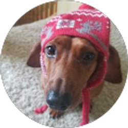 Profile photo of Nikki Wald